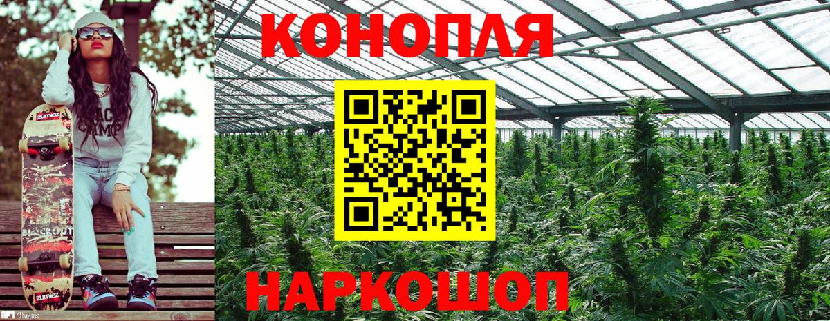 Бошки Шишки семена  Вход с VPN  Кохма  Марихуана планчик 